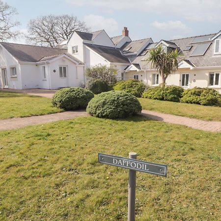 Daffodil Apartment Tenby Eksteriør bilde