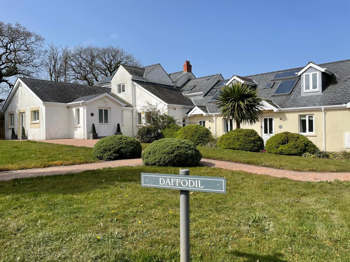 Daffodil Apartment Tenby Eksteriør bilde