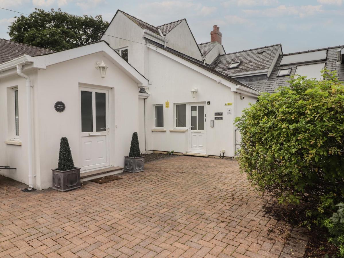 Daffodil Apartment Tenby Eksteriør bilde